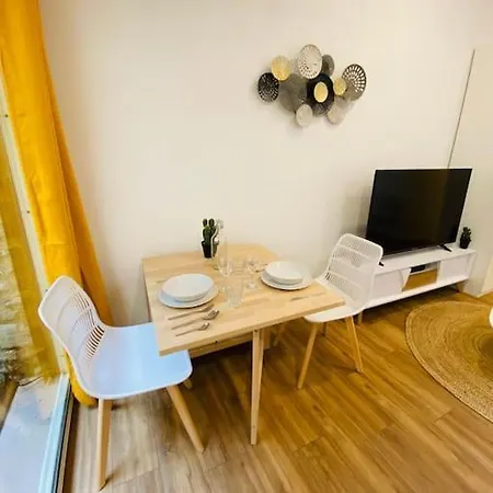 Studio Avec Terrasse Centre Historique *